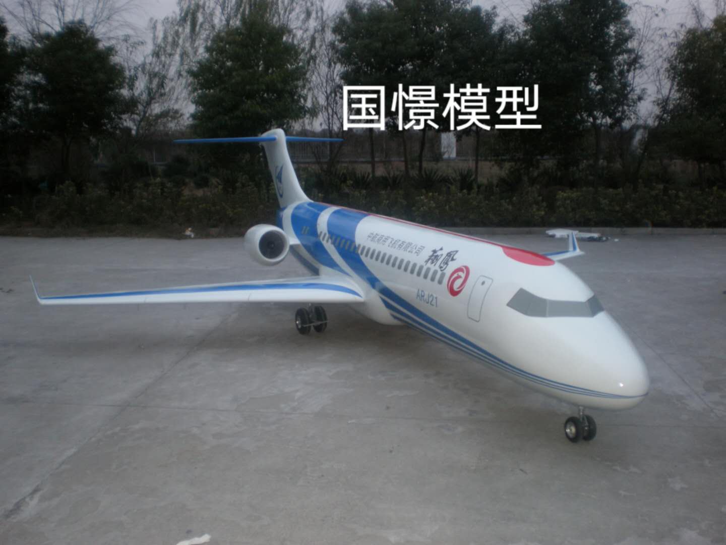 神池县飞机模型