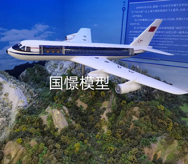 神池县飞机模型
