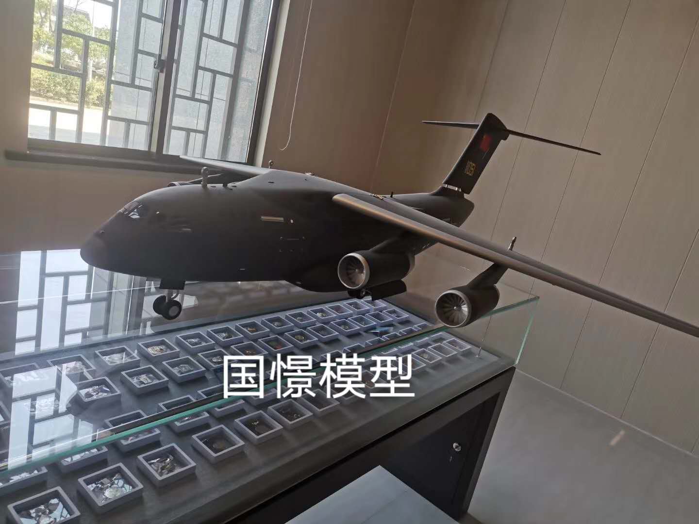 神池县飞机模型