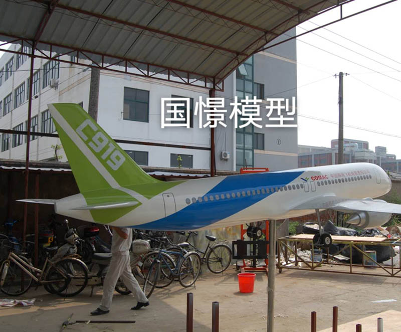 神池县飞机模型