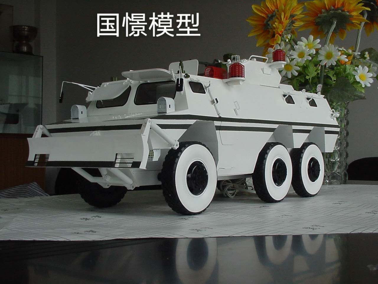 神池县军事模型