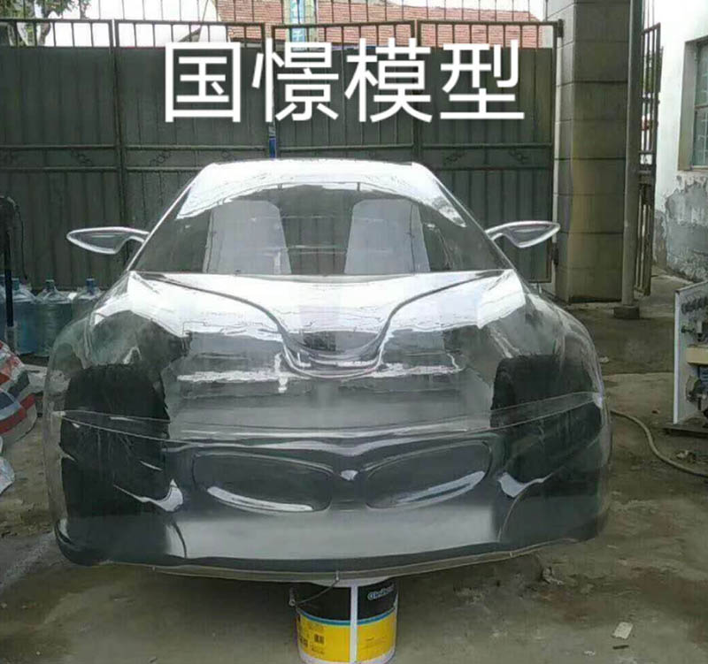 神池县透明车模型